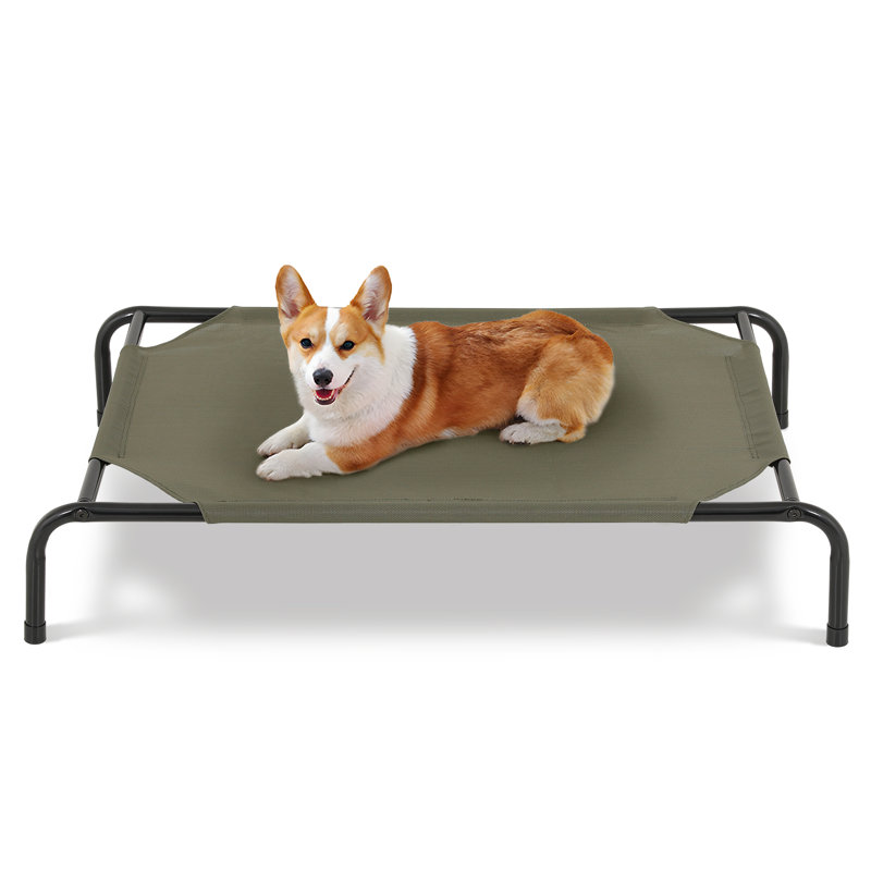 Portable elevated dog bed best sale